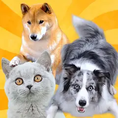 Скачать Real Pets by Fruwee Взлом [Много монет] + [МОД Меню] на Андроид