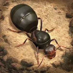 Скачать The Ants: Underground Kingdom Взлом [Бесконечные монеты] + [МОД Меню] на Андроид