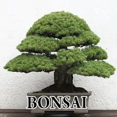 Скачать Bonsai Designs [Без рекламы] MOD APK на Андроид