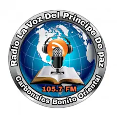 Radio La Voz Del Principe De P