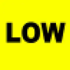 LOWER - Low Resolution Camera