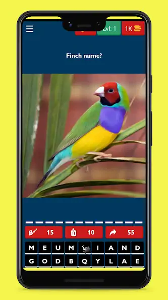 Скачать Bird Guess Fun Feather Trivia Взлом [МОД Много монет] + [МОД Меню] MOD APK на Андроид