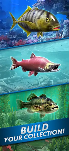 Скачать Ultimate Fishing! Fish Game Взлом [МОД Много монет] + [МОД Меню] MOD APK на Андроид