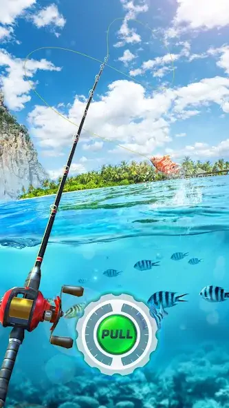 Скачать Fishing Rival 3D Взлом [МОД Много денег] + [МОД Меню] MOD APK на Андроид