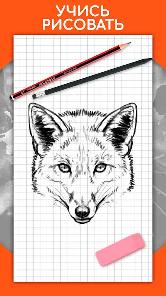 Скачать Как рисовать животных поэтапно [Полная версия] MOD APK на Андроид