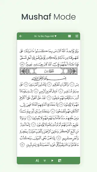 Скачать Коран (тафсир и по словамо) [Разблокированная версия] MOD APK на Андроид