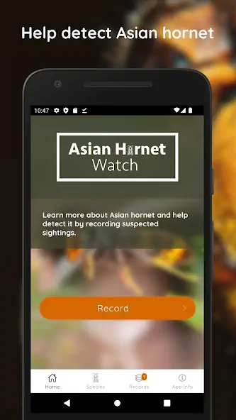 Скачать Asian Hornet Watch [Премиум версия] MOD APK на Андроид