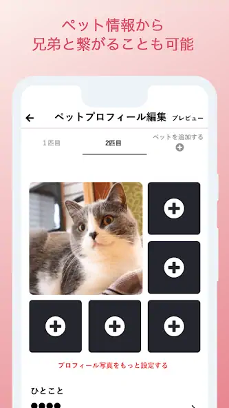 Скачать amor pet（アモル ペット）婚活・恋活マッチングアプリ [Премиум версия] MOD APK на Андроид