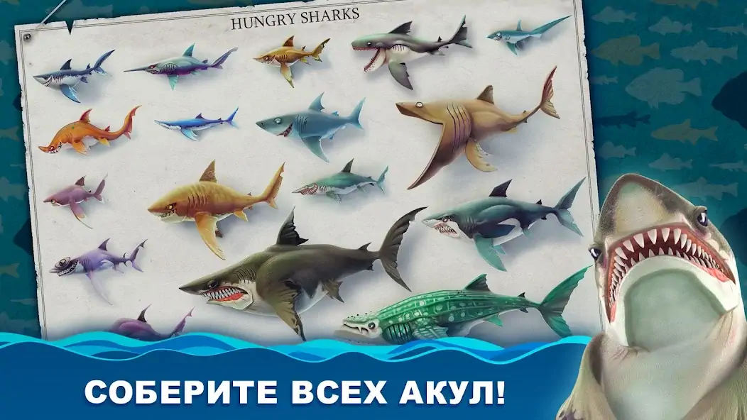 Скачать Hungry Shark World Взлом [МОД Много денег] + [МОД Меню] MOD APK на Андроид