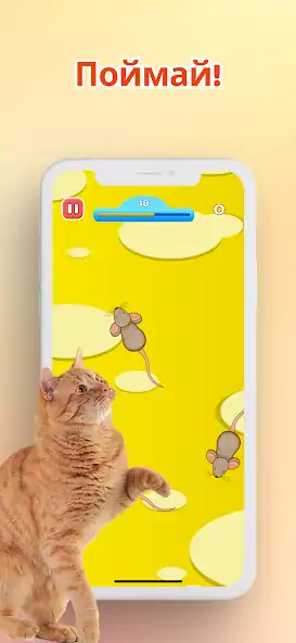 Скачать Игра для котов - Мышки и Рыбки Взлом [МОД Бесконечные монеты] + [МОД Меню] MOD APK на Андроид