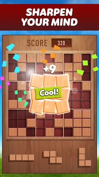 Скачать Woody 99 - Sudoku Block Puzzle Взлом [МОД Бесконечные деньги] + [МОД Меню] MOD APK на Андроид