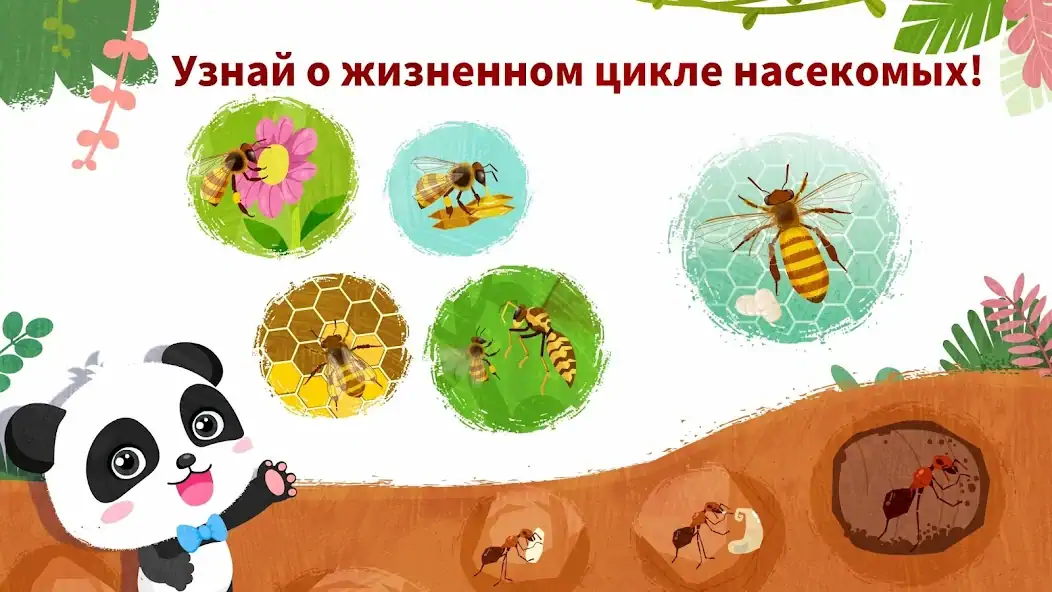 Скачать Мир насекомых с мал. пандой Взлом [МОД Много денег] + [МОД Меню] MOD APK на Андроид