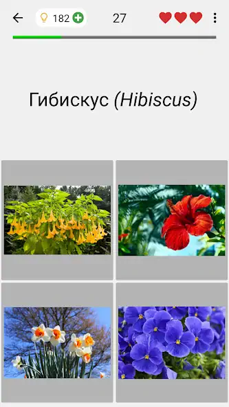 Скачать Цветы - Викторина по ботанике Взлом [МОД Бесконечные деньги] + [МОД Меню] MOD APK на Андроид